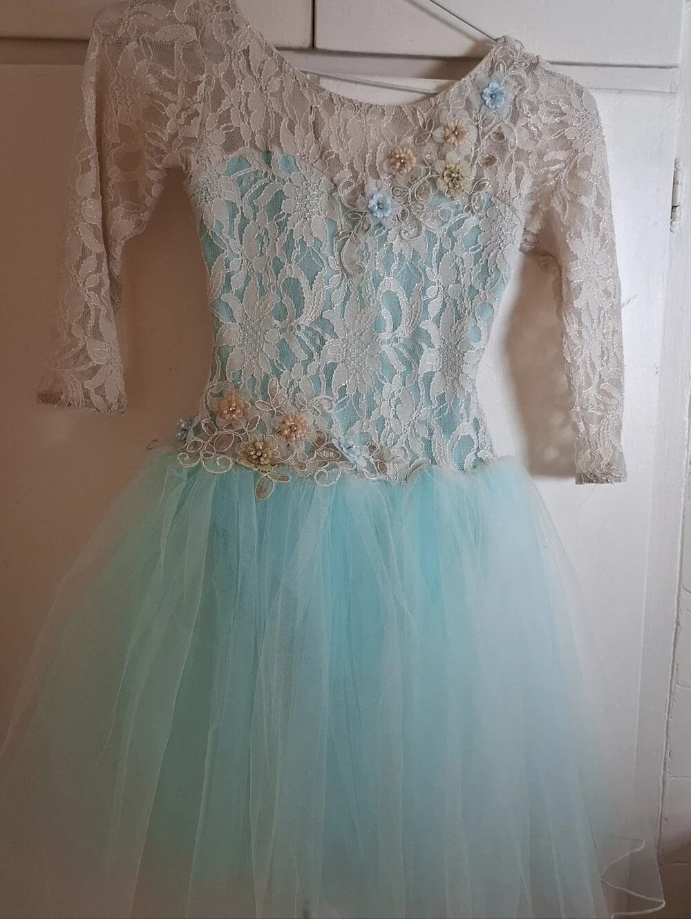 A Wish Come True Costume Dress